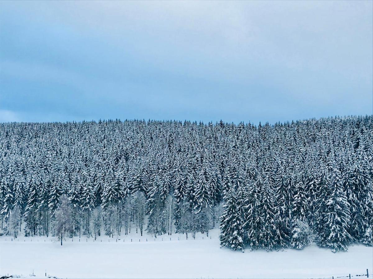 Appartement Familie Willems Winterberg Am Waltenberg Eksteriør billede