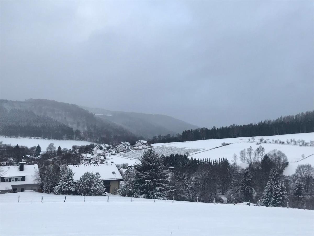 Appartement Familie Willems Winterberg Am Waltenberg Eksteriør billede