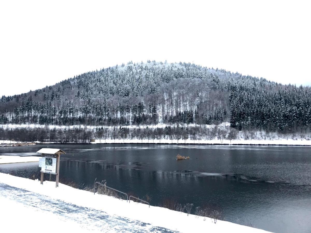 Appartement Familie Willems Winterberg Am Waltenberg Eksteriør billede